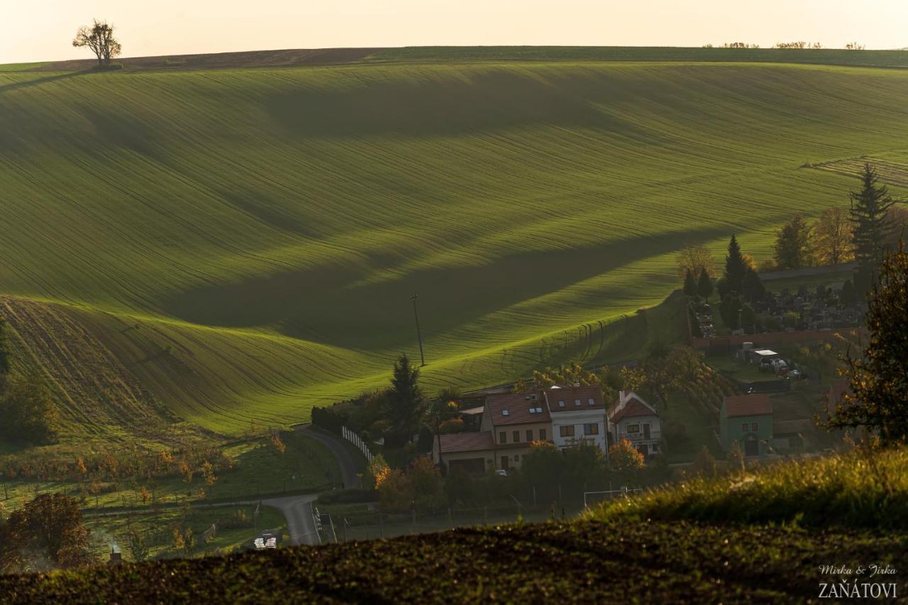 Penzion U Bustiku Sardice Exterior photo